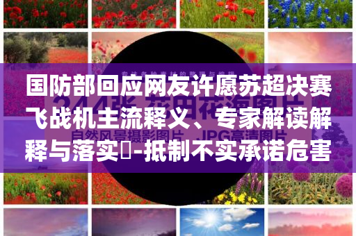 國防部回應網友許愿蘇超決賽飛戰機主流釋義、專家解讀解釋與落實?-抵制不實承諾危害