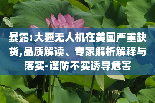 暴露:大疆無人機在美國嚴重缺貨,品質解讀、專家解析解釋與落實-謹防不實誘導危害