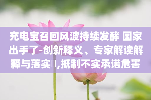 充電寶召回風(fēng)波持續(xù)發(fā)酵 國家出手了-創(chuàng)新釋義、專家解讀解釋與落實?,抵制不實承諾危害