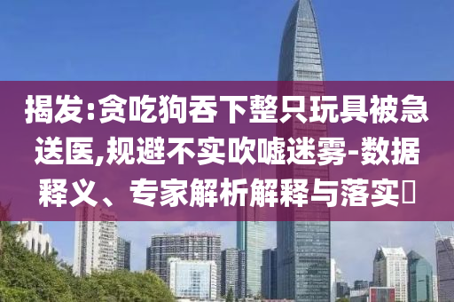 揭發(fā):貪吃狗吞下整只玩具被急送醫(yī),規(guī)避不實(shí)吹噓迷霧-數(shù)據(jù)釋義、專家解析解釋與落實(shí)?