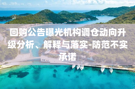 回購公告曝光機構調倉動向升級分析、解釋與落實-防范不實承諾