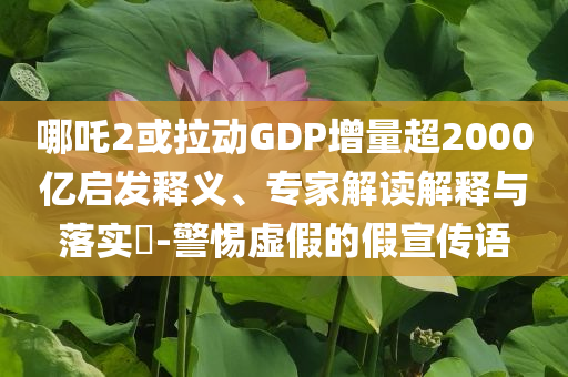 哪吒2或拉動GDP增量超2000億啟發(fā)釋義、專家解讀解釋與落實(shí)?-警惕虛假的假宣傳語