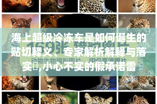海上超級冷凍車是如何誕生的貼切釋義、專家解析解釋與落實(shí)?,小心不實(shí)的假承諾雷