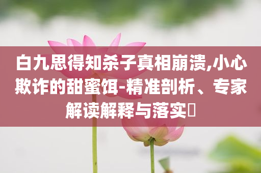 白九思得知殺子真相崩潰,小心欺詐的甜蜜餌-精準剖析、專家解讀解釋與落實?