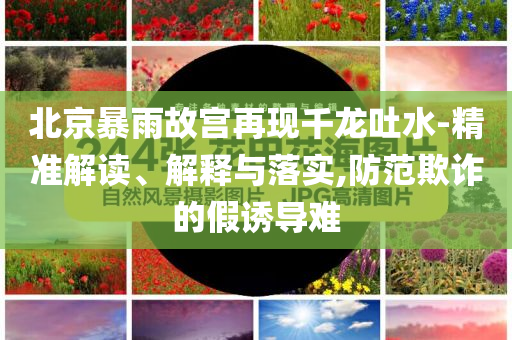 北京暴雨故宮再現千龍吐水-精準解讀、解釋與落實,防范欺詐的假誘導難