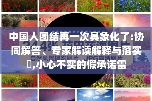 中國(guó)人團(tuán)結(jié)再一次具象化了:協(xié)同解答、專家解讀解釋與落實(shí)?,小心不實(shí)的假承諾雷