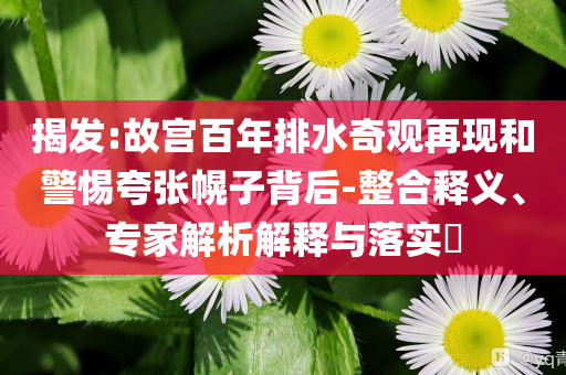 揭發:故宮百年排水奇觀再現和警惕夸張幌子背后-整合釋義、專家解析解釋與落實?