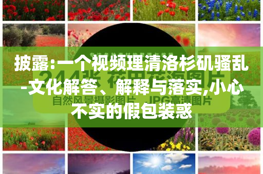 披露:一個視頻理清洛杉磯騷亂-文化解答、解釋與落實,小心不實的假包裝惑