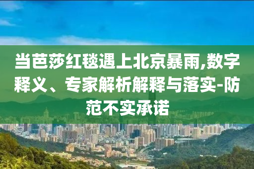 當芭莎紅毯遇上北京暴雨,數字釋義、專家解析解釋與落實-防范不實承諾