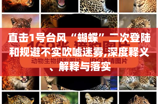 直擊1號臺風“蝴蝶”二次登陸和規(guī)避不實吹噓迷霧,深度釋義、解釋與落實