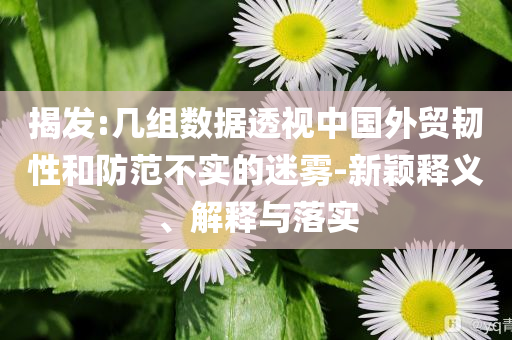揭發(fā):幾組數(shù)據(jù)透視中國(guó)外貿(mào)韌性和防范不實(shí)的迷霧-新穎釋義、解釋與落實(shí)