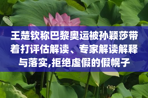 王楚欽稱巴黎奧運被孫穎莎帶著打評估解讀、專家解讀解釋與落實,拒絕虛假的假幌子