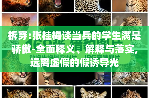 2025年6月 第135頁