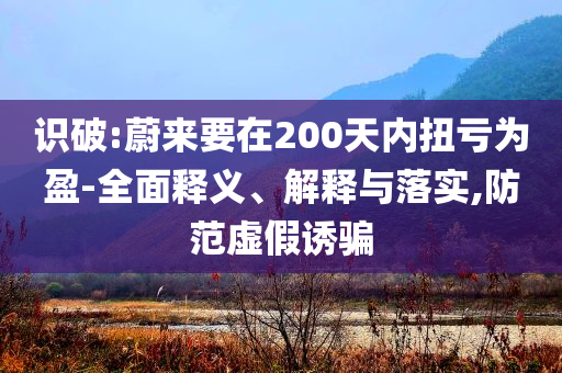 識破:蔚來要在200天內扭虧為盈-全面釋義、解釋與落實,防范虛假誘騙