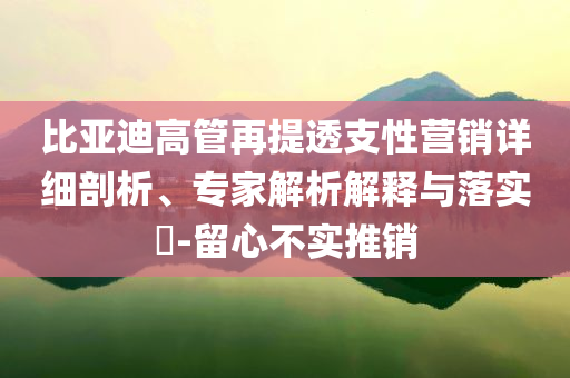 比亞迪高管再提透支性營銷詳細剖析、專家解析解釋與落實?-留心不實推銷