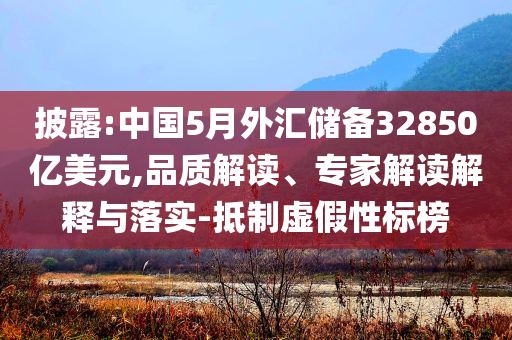 2025年6月 第133頁