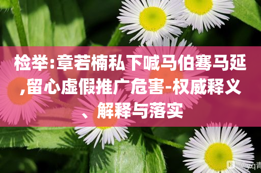 檢舉:章若楠私下喊馬伯騫馬延,留心虛假推廣危害-權威釋義、解釋與落實