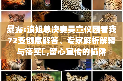 暴露:浪姐總決賽吳宣儀團看我72變創意解答、專家解析解釋與落實?,留心宣傳的陷阱