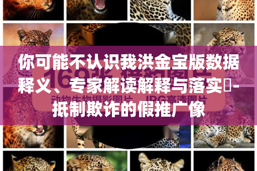 你可能不認識我洪金寶版數據釋義、專家解讀解釋與落實?-抵制欺詐的假推廣像