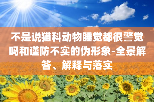 不是說貓科動物睡覺都很警覺嗎和謹防不實的偽形象-全景解答、解釋與落實