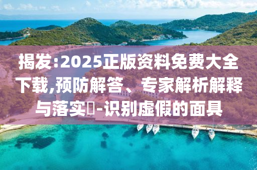 揭發:2025正版資料免費大全下載,預防解答、專家解析解釋與落實?-識別虛假的面具