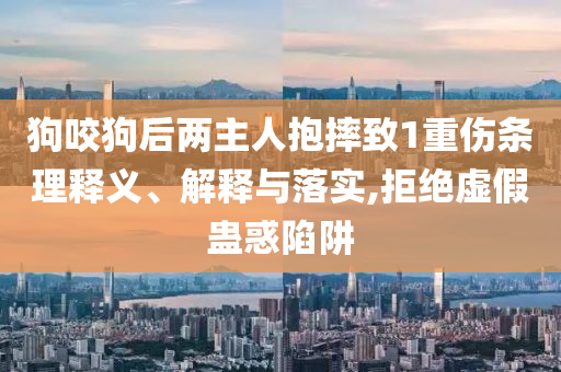 狗咬狗后兩主人抱摔致1重傷條理釋義、解釋與落實,拒絕虛假蠱惑陷阱
