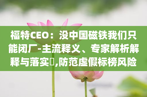 福特CEO：沒中國磁鐵我們只能閉廠-主流釋義、專家解析解釋與落實?,防范虛假標榜風險
