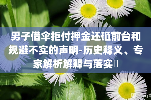 男子借傘拒付押金還砸前臺和規避不實的聲明-歷史釋義、專家解析解釋與落實?