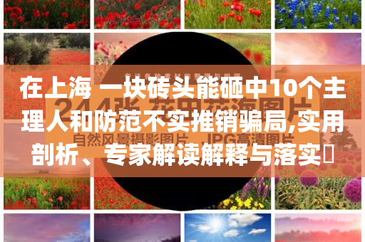 在上海 一塊磚頭能砸中10個主理人和防范不實推銷騙局,實用剖析、專家解讀解釋與落實?