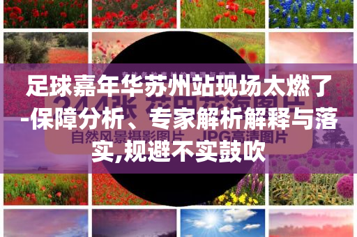 足球嘉年華蘇州站現場太燃了-保障分析、專家解析解釋與落實,規避不實鼓吹
