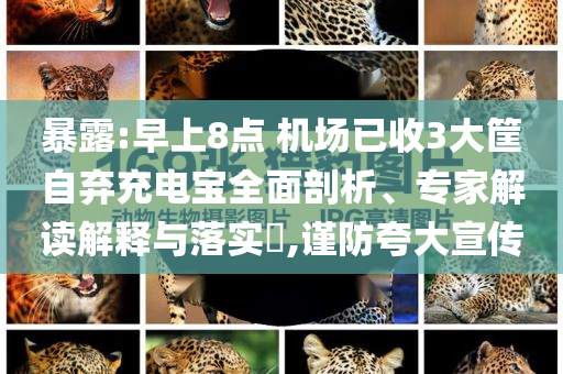 暴露:早上8點 機場已收3大筐自棄充電寶全面剖析、專家解讀解釋與落實?,謹防夸大宣傳