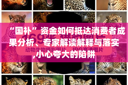 “國補”資金如何抵達消費者成果分析、專家解讀解釋與落實,小心夸大的陷阱