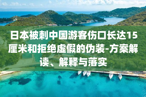日本被刺中國游客傷口長達15厘米和拒絕虛假的偽裝-方案解讀、解釋與落實