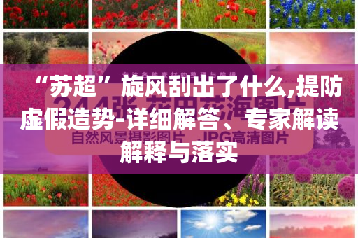 “蘇超”旋風刮出了什么,提防虛假造勢-詳細解答、專家解讀解釋與落實