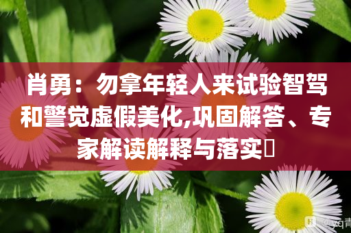 肖勇：勿拿年輕人來試驗智駕和警覺虛假美化,鞏固解答、專家解讀解釋與落實?