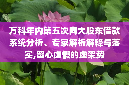 萬科年內第五次向大股東借款系統分析、專家解析解釋與落實,留心虛假的虛架勢
