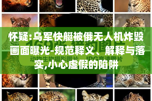 懷疑:烏軍快艇被俄無人機炸毀 畫面曝光-規范釋義、解釋與落實,小心虛假的陷阱