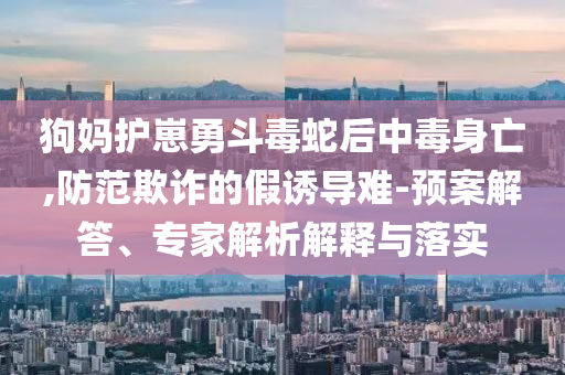 2025年6月 第89頁