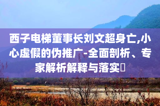 西子電梯董事長劉文超身亡,小心虛假的偽推廣-全面剖析、專家解析解釋與落實?