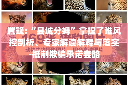 置疑:“縣城分姆”拿捏了誰風(fēng)控剖析、專家解讀解釋與落實-抵制欺騙承諾套路