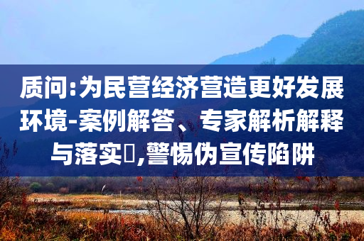 質(zhì)問:為民營經(jīng)濟營造更好發(fā)展環(huán)境-案例解答、專家解析解釋與落實?,警惕偽宣傳陷阱