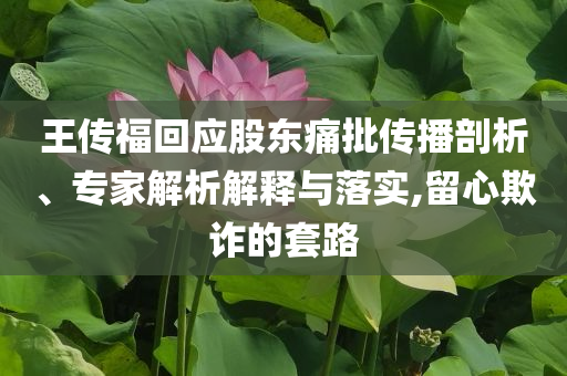 王傳福回應股東痛批傳播剖析、專家解析解釋與落實,留心欺詐的套路