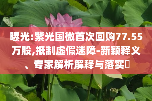 曝光:紫光國微首次回購77.55萬股,抵制虛假迷障-新穎釋義、專家解析解釋與落實?