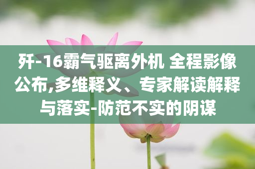 殲-16霸氣驅離外機 全程影像公布,多維釋義、專家解讀解釋與落實-防范不實的陰謀