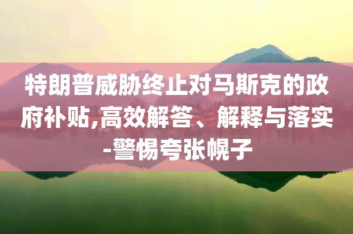 特朗普威脅終止對馬斯克的政府補貼,高效解答、解釋與落實-警惕夸張幌子