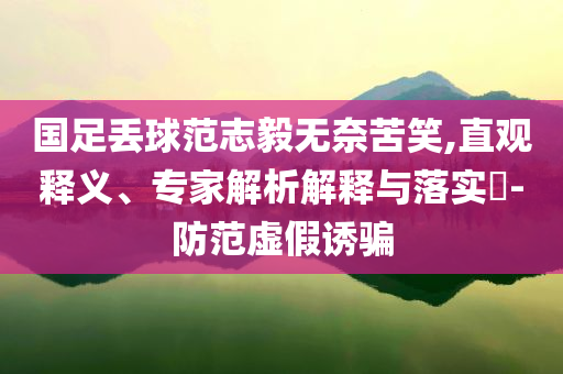 國足丟球范志毅無奈苦笑,直觀釋義、專家解析解釋與落實(shí)?-防范虛假誘騙