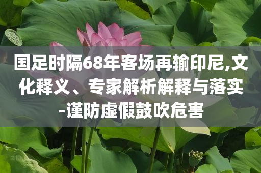 國足時隔68年客場再輸印尼,文化釋義、專家解析解釋與落實-謹防虛假鼓吹危害