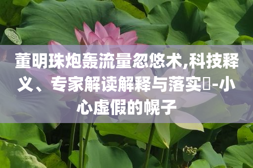 董明珠炮轟流量忽悠術,科技釋義、專家解讀解釋與落實?-小心虛假的幌子