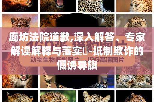 廊坊法院道歉,深入解答、專家解讀解釋與落實(shí)?-抵制欺詐的假誘導(dǎo)旗