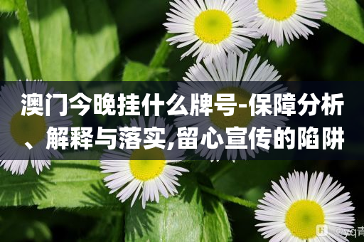 澳門今晚掛什么牌號-保障分析、解釋與落實,留心宣傳的陷阱